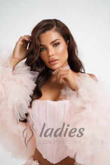 Lasane-brown-owo-toys-gfe (9)